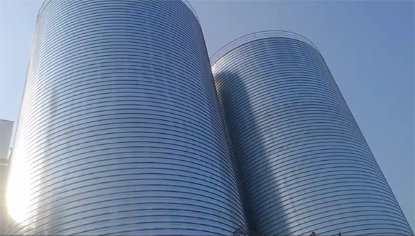 耒阳2座混凝土高架卷板仓